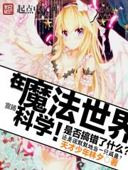 在魔法世界搞科技