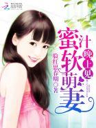 隐婚娇妻帝少