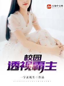 关于校园透视的