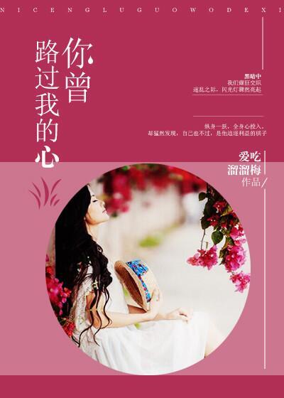 曾经我路过你的心