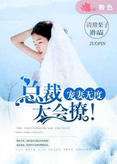 总裁宠妻无度轶匀
