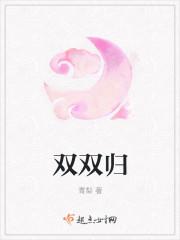 双双归的三个数字是几