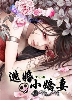 逃婚小王妃免费阅读