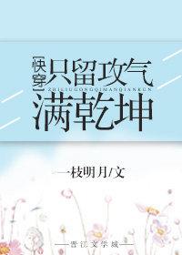 只留攻气满乾坤 快穿晋江