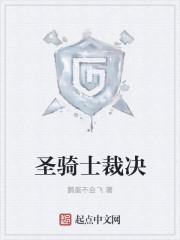 圣骑士队决模式