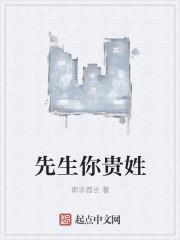 先生你贵姓花鼓戏全本免费阅读
