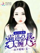 boss霸道总裁甜妻来袭