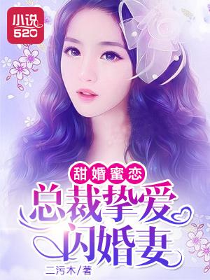 甜蜜闪婚总裁宠妻超护短