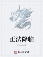 正法法师简介