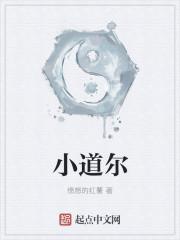 小道尔是什么意思