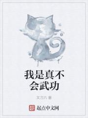 我不会武功 2