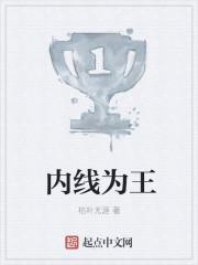 内线剧集介绍