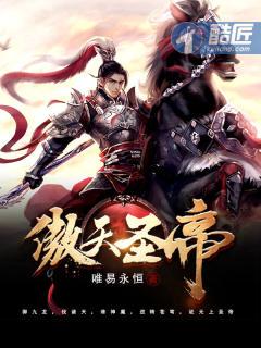 傲天圣帝无弹窗