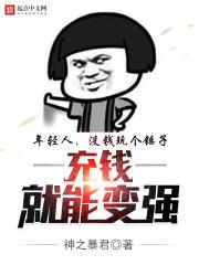 充钱才能变强的游戏