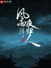 风雨夜归人阅读答案