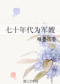 七十年代军嫂情景剧