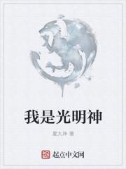 我是光明神的双男主文