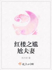 红楼尴尬夫妻起点