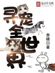 寻宠信息