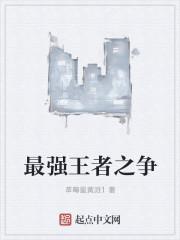 王者之争第四季
