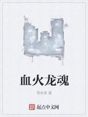 火龙魂加什么属性