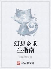 幻想乡攻略
