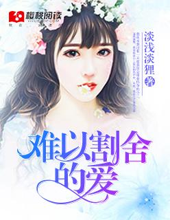 难以割舍的爱免费