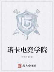 诺卡科技有限公司