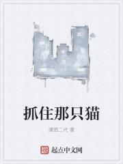 抓住那只猫怎么玩