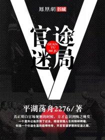 官路迷局txt
