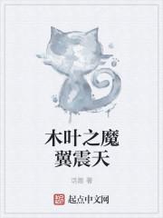 木叶之最强震遁