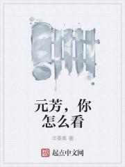 元芳你怎么看歌曲歌词