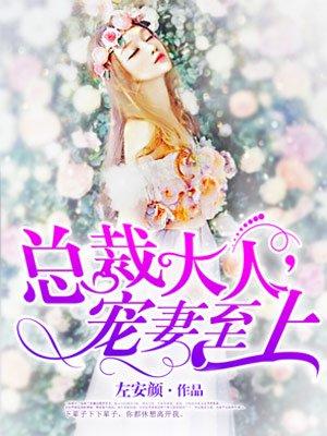 宠妻至上 聚合中文网