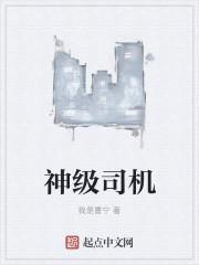 神级司机俏千金 野是