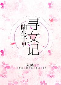 综陆生千里寻女记txt