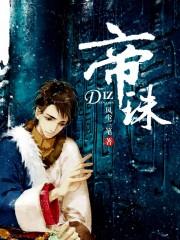 帝珠网示意图