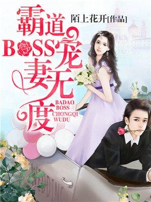 霸道总裁宠妻无度全文阅读