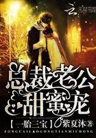 一胎三宝总裁宠妻超给力免费阅读