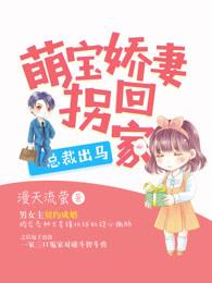 萌宝出没总裁爹地找上门