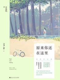 原来你还在这里大结局