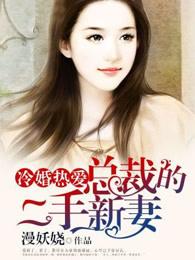 总裁的二婚宠妻