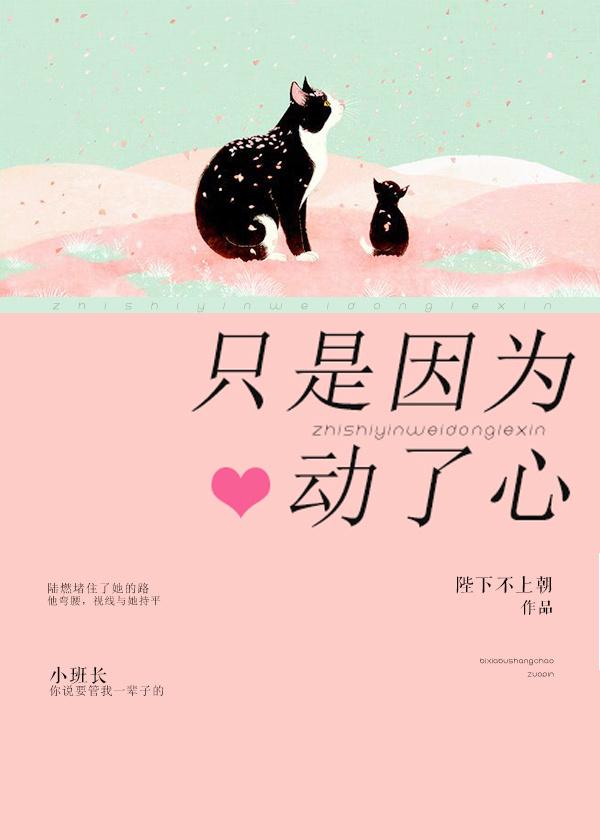 只是因为动了情歌词