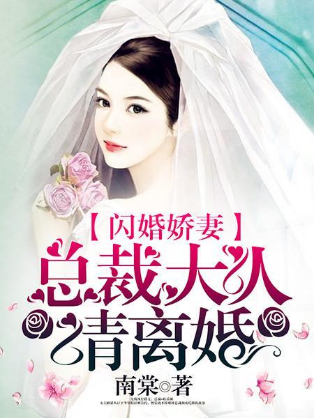 闪婚娇妻总裁大人请离婚第10集