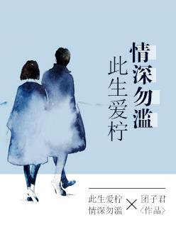 情深缘浅免费
