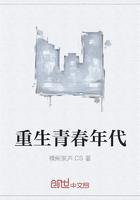 重生青春年代宋向阳