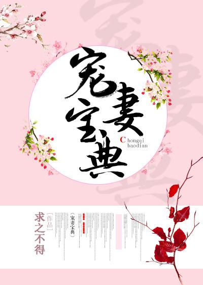宠妻宝典在线阅读