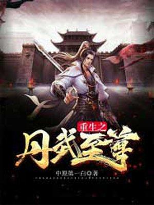 重生之丹武至尊(盛氏王朝)完整版全文免费