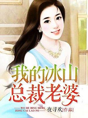 我的冰山总裁老婆续集