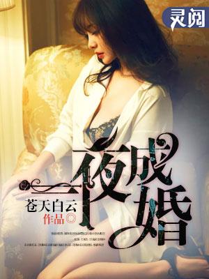 狼性总裁心尖宠免费阅读