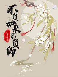 不负如来不负卿这首诗全文
